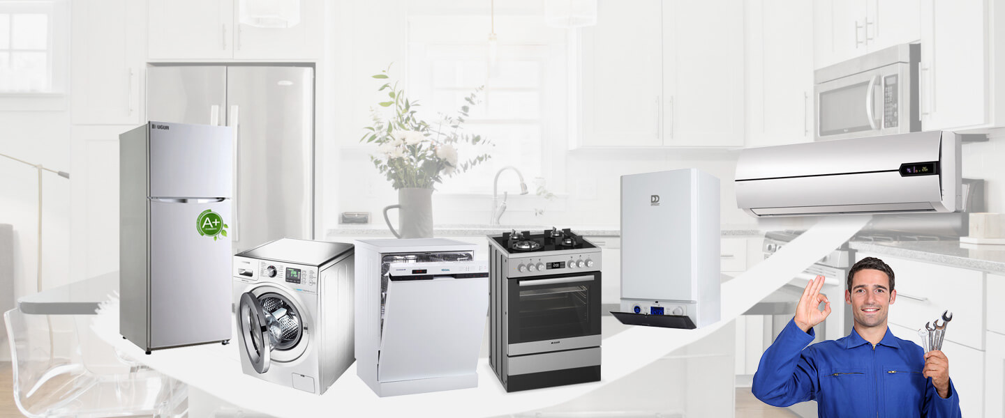 Güngören Electrolux Servisi